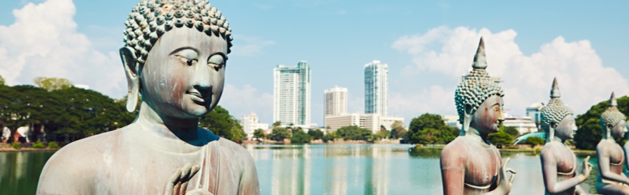 Fun Things to do in Colombo