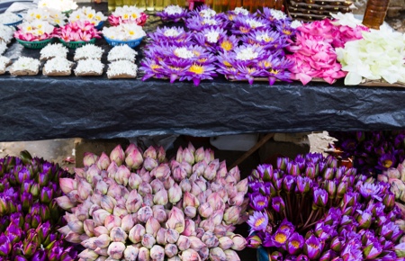 Where to Shop in Colombo