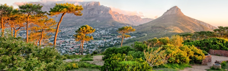 Fun Things to do in Cape Town