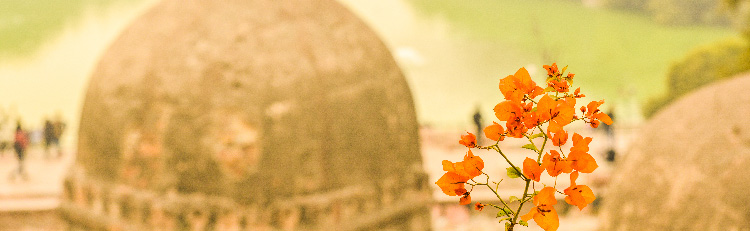 Fun Things to do in Delhi