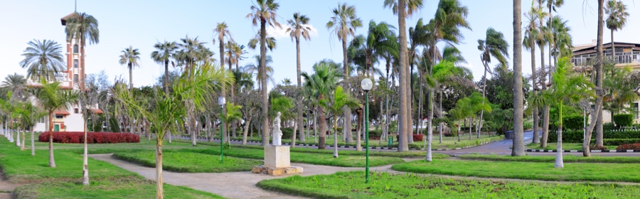 Fun Things to do in Alexandria