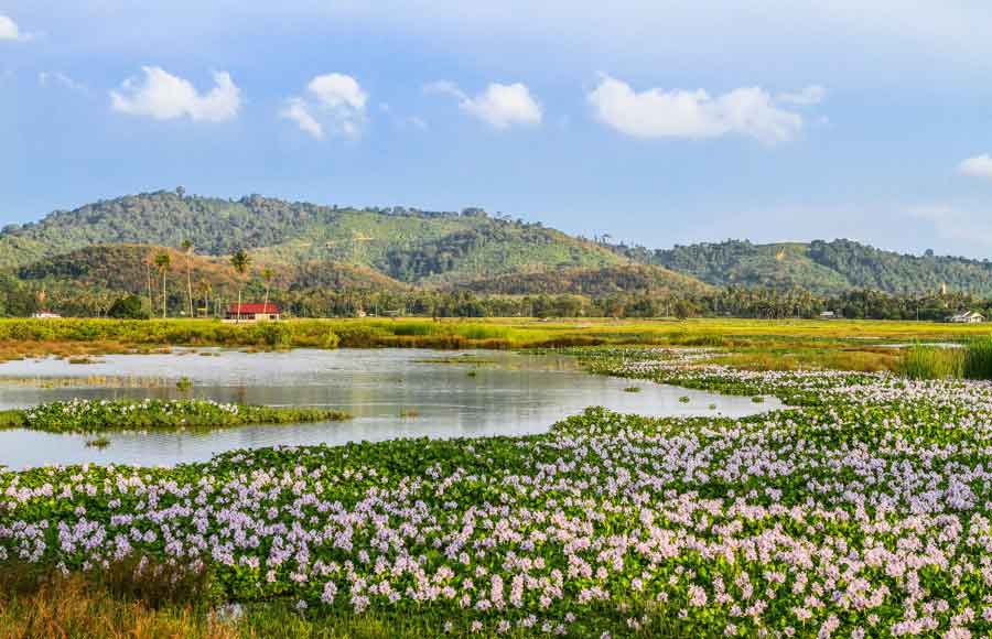 Best Time to Book a Flight to Langkawi