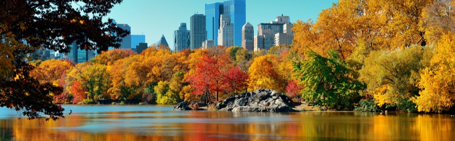 Fun Things to do in New York
