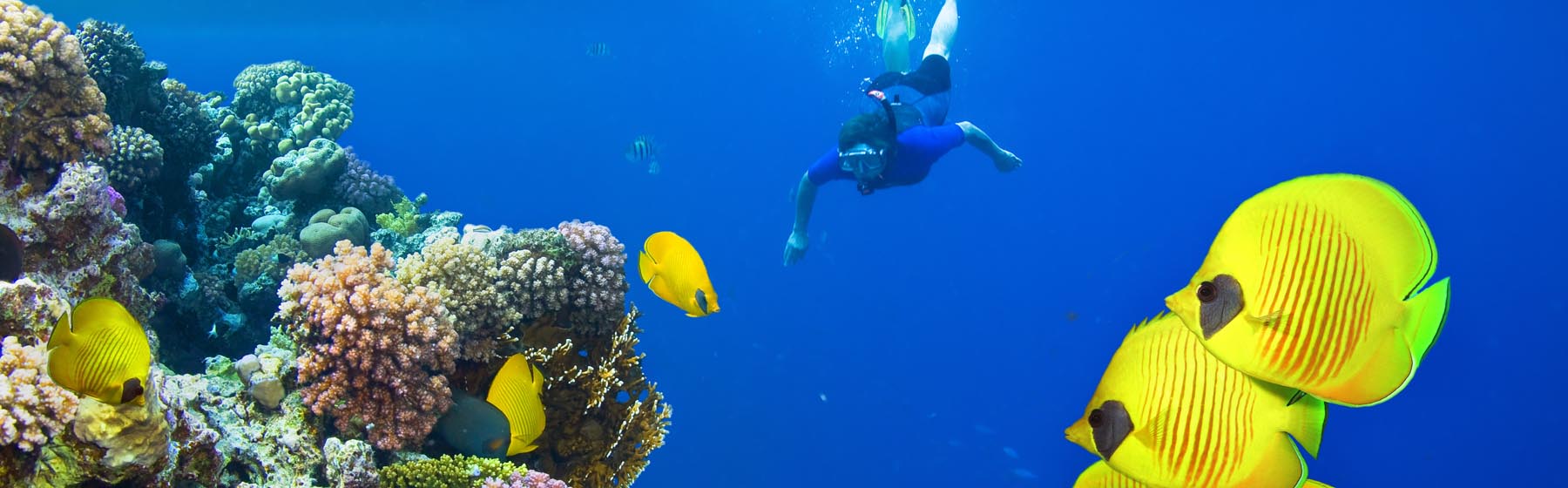 Fun Things to do in Sharm El Sheikh