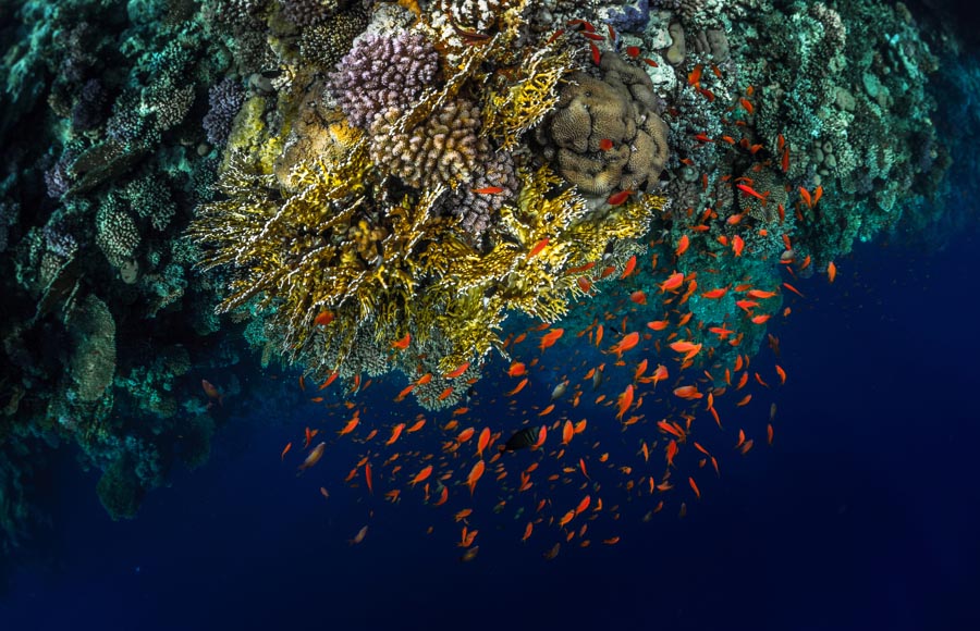 Famous Places to Visit in Sharm El Sheikh